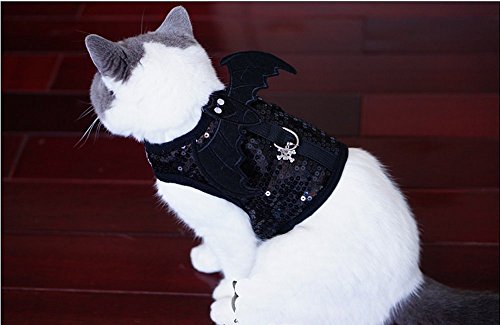 cat harness with wings