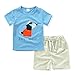 Kids Boys 2 Piece Short Sleeve Tshirt Shorts Set Outfits 1 to 5 Age Baby