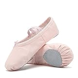CIOR Ballet Slippers for Girls Classic Split-Sole Canvas Dance Gymnastics Yoga Shoes Flats(Toddler/Little Kid/Big Kid/Women) VTW01-2,Pink,25A