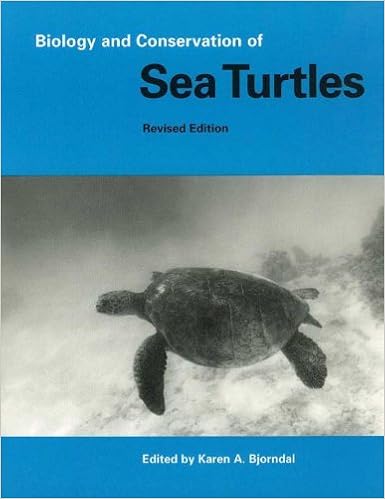 Biology And Conservation Of Sea Turtles Karen A Bjorndal 9781560986195 Amazon Com Books