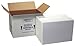 Polar Tech 271C Thermo Chill Insulated Carton with Foam Shipper, Extra Large, 26