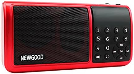 NEWGOOD LED Flashlight Portable Stereo Radio Present Home Speakers Player with FM Radio, 3.5 mm Audio Jack,Two micro SD card slot,Built-in Earphone Plug, Clock, Enhanced Bass EQ(red)