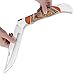 Timber Rattler Heartwood Scarab Back Giant Folding Pocket Knife - Carved Camel Bone Inlays