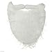 Jacobson Hat Company White Full Beard and Mustache Costume Accessory