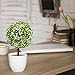 MyGift Tabletop Artificial Topiary Indoor Decor, Fake Plants Faux Green Boxwood Ball Tree with White Planter Pots, Set of 2