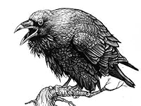 Review Image by strugglebuggy