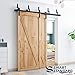 SMARTSTANDARD 6.6ft Heavy Duty Bypass Double Door Sliding Barn Door Hardware Kit - Smoothly &Quietly -Easy to install - Includes Step-By-Step Installation Instruction Fit 40