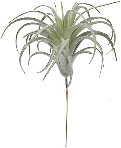 chegong 5Pcs Artificial Air Plants Faux Succulents Bromeliads Home Garden Decor