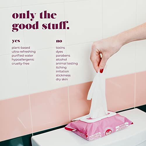 Goodwipes Flushable & PlantBased Wipes with Botanicals Dispenser for