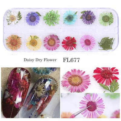 2Box 3D Nail Art Dried Flower Mixed Preserved Daisy Babysbreath Natural Sticker DIY Manicure Nail Art Decorations