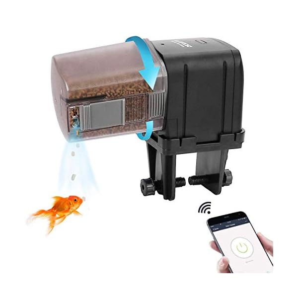 automatic aquarium