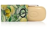 Castile Bar Soap - Gentle Unscented with Organic Cocoa Butter and Organic Olive Oil - 5 oz bars (6 Pack)