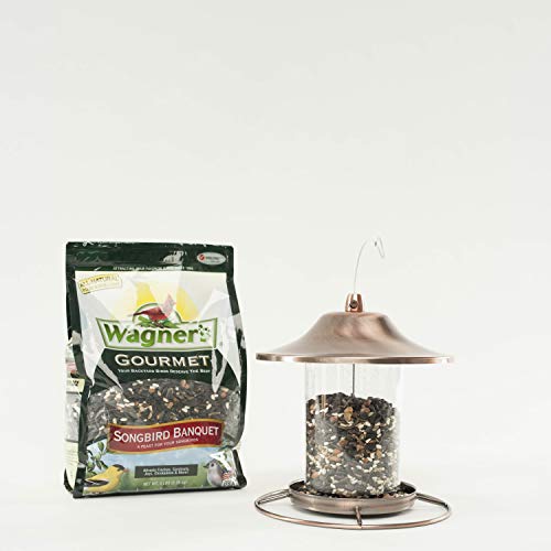 Wagner's 82042 Songbird Banquet Bird Food, 5-Pound Bag - Thumbnail 5