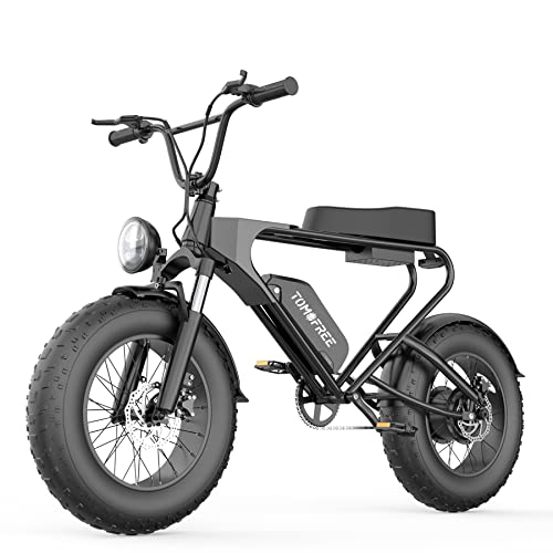 Goodcorn Electric Bike for Adults 20