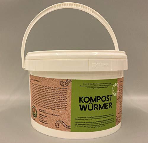 Kompostwürmer Kaufen 300 Stück in Spezialeimer Kompostbeschleuniger Garten Wurmkomposter Wurmkiste Lebend Regenwürmer – Bild 3