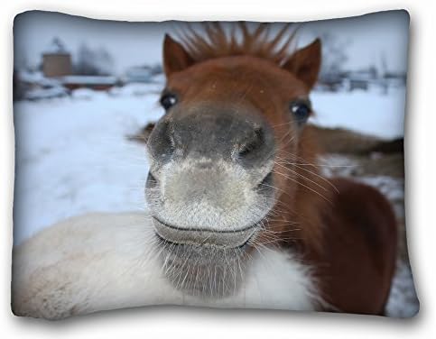 Decorative Standard Pillow Case Animals horse face s nose 20"26" One Side