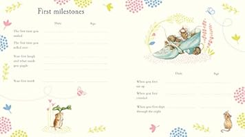 peter rabbit memory book