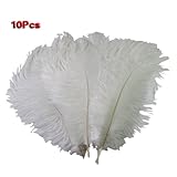 Leegoal 10 Pcs New Style Natural 10-12 Inch Ostrich Feathers Great Decorations