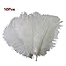 10pcs High Quality New Style Real Natural 10-12 Inch Ostrich Feathers Great Decorations (White)