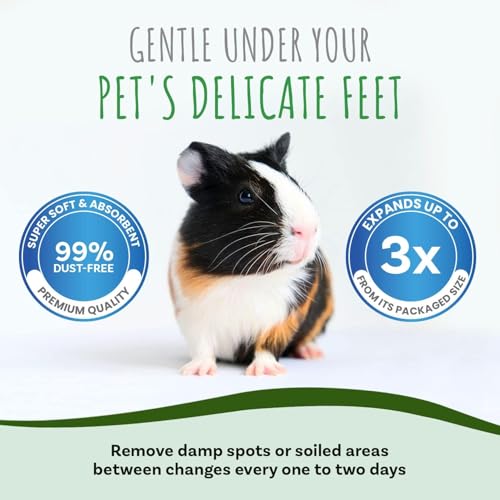 SMALL PET SELECT Premium Small Animal Bedding, Unbleached White Paper Bedding for Small Indoor and Outdoor Pets, Made in USA, White, 178L