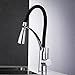 OWOFAN Kitchen Faucets Commercial Solid Brass Single Handle Single Lever Pull Down Sprayer Kitchen Sink Faucet