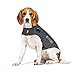 ThunderShirt for Dogs, Medium, Heather Gray Classic - Dog Anxiety Relief Calming Vest