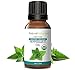 Peppermint Essential Oil (15ml) USDA Certified Organic, 100% Pure by RejuveNaturals. Promotes Clear Breathing & Digestive Health. For Headaches, Nausea, Diffusion, Internal or Topical Use. Food Grade