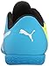 PUMA Unisex-Child Evopower 4.3 Indoor Trainer Soccer Shoe