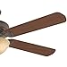 Casablanca 55006 Ainsworth Gallery 60-Inch 5-Blade Single Light Ceiling Fan, Onyx Bengal with Distressed Walnut/Dark Walnut Blades and Toffee Glass Bowl Light