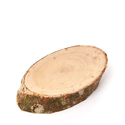 Factory Direct Craft Group of 3 Oval Natural Wood Tree Slices for Creating Displays, Making Plaques and Crafting