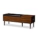 BAXTON STUDIO Merrick Mid-Century Retro Modern 1 Drawer and Wood Cushioned Bench Shoe Rack Cabinet Organizer, Dark Brown