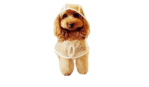 cocker spaniel raincoat