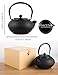 SUSTEAS Tetsubin Cast Iron Teapot with Stainless Steel Infuser Japanese tea pot kettle (43oz)
