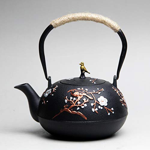 Cast Iron Teapot, Japanese Style Tetubin, Tea Kettle with Removable