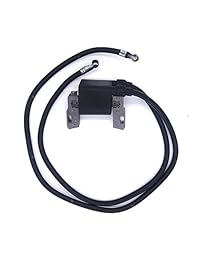 Bobina de encendido para briggs & stratton 42 A707 42 A777 422707 394891 392329 590781 -P # ewt43 65234r3fa720834