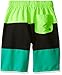 Speedo Boy's Swim Trunk Knee Length Blocked Volley