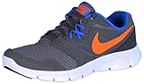 Nike Boys' Flex Experience 3 (GS) Running Shoes-Cool Gray/Hyper Crimson