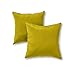 Greendale Home Fashions Outdoor Accent Pillows, Kiwi, Set of 2