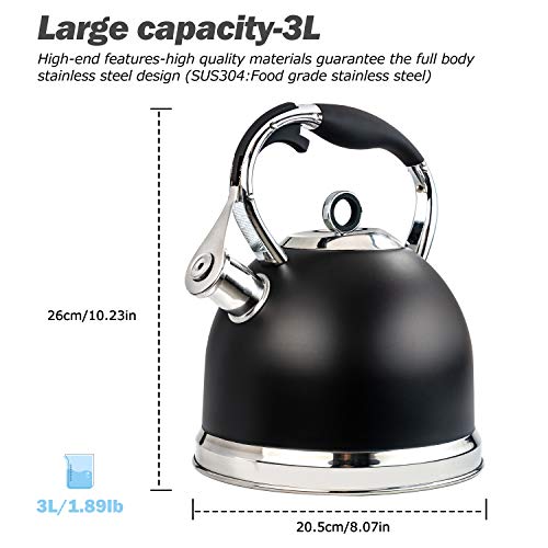 Tea Kettle Best 3 Liter induction Modern Stainless Steel Surgical Whistling Teapot Pot For