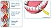 Piksters Interdental Brushes - Trial Pack
