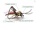YZD Realistic Fly Grasshopper Series(Small Mix 12pcs)