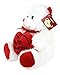 KINREX Soft Stuffed Teddy Bear - Happy Valentine's Day Bear for Girlfriend, Boyfriend, Wife, Husband - White with Red Message & Heart Pillow - 11.81