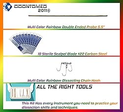 OdontoMed2011® 24 Pcs Advanced Anatomy Multi Color
