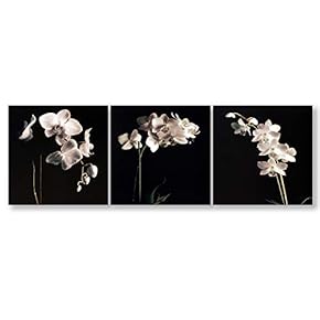 3 Panel Elegant Flowers Painting Wall Bedroom Living...