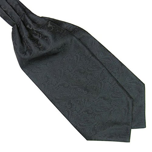 Shuohu Mens Necktie,Silky Satin Necktie Cravat Ascot Tie for Wedding Banquet