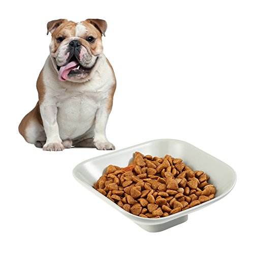 Compare price to french bulldog bowls