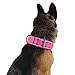 Yunleparks Tactical Dog Collar Reflective Nylon Dog Collar Heavy Duty Dog Collar with Metal Pin Buckle for Medium Large Dogs(Large,Pink)