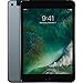 Apple iPad Mini 4, 32GB, Space Gray - WiFi (Renewed)