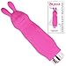 Silicone Rabbit Vibrator - Discreet Compact Clit Stimulator - Adult Novelty