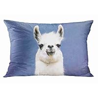 Tarolo Custom Lovely Llama Zippered Pillowcase Rectangle Pillowslip Size 20x30 Inches One Sided Print